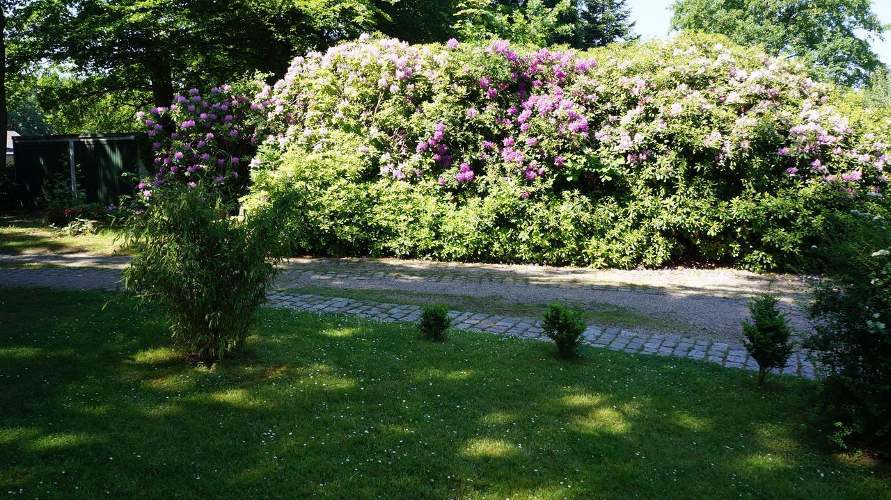 Exklusive Ferienwohnung Zwischen Uni Und Altstadt Lüneburg Dış mekan fotoğraf